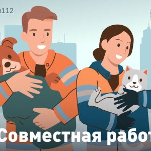 А ты найди кота