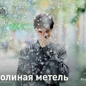 Тополиная метель