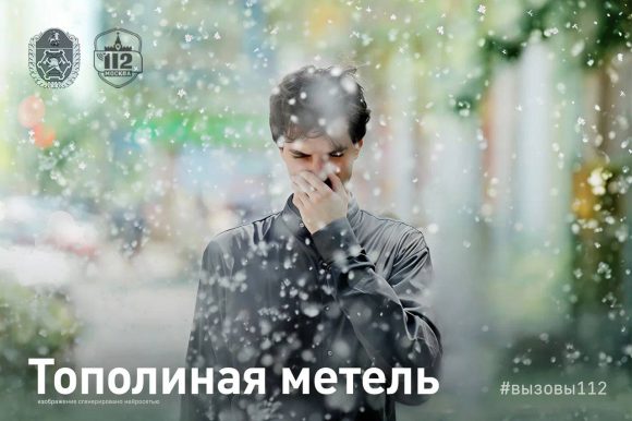 Тополиная метель
