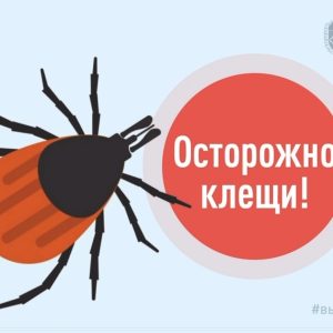 Сезон активности