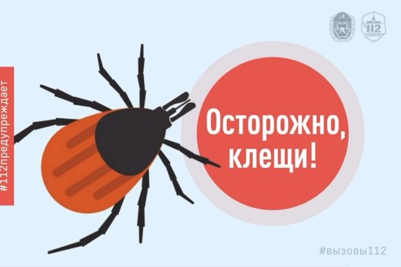 Сезон активности