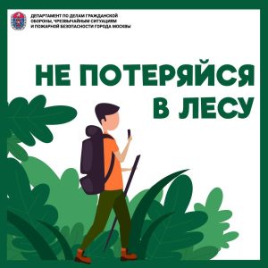 Не потеряйся: советы кинолога Пожарно-спасательного центра, как не заблудиться в лесу