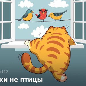 Кошки – не птицы