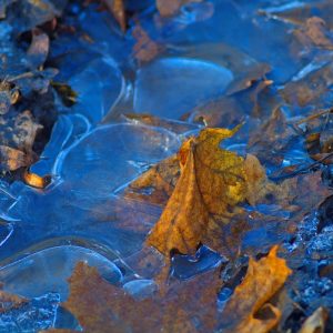 ДГОЧСиПБ УЮЗАО