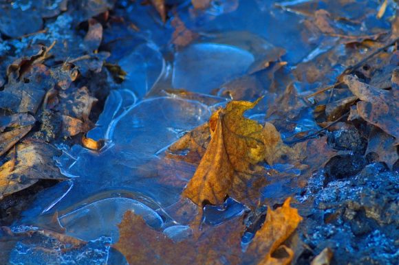 ДГОЧСиПБ УЮЗАО