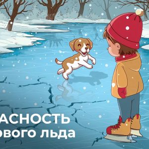 ДГОЧСиПБ ДГОЧСиПБ