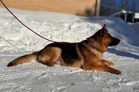 УВД по ЮЗАО – новости
